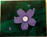 Nénuphar